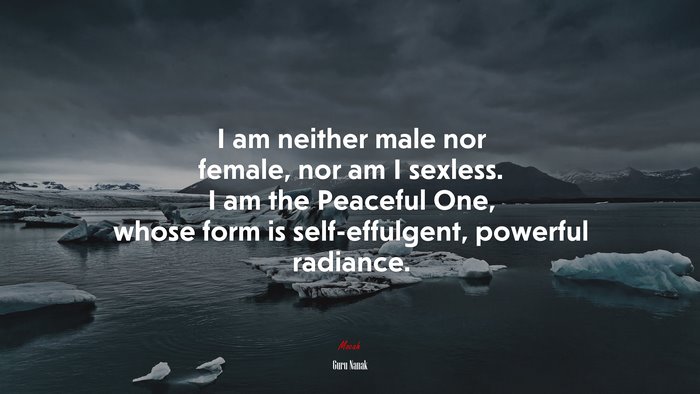 I am neither male nor female, nor am I sexless. I am the Peaceful One, whose form is self-effulgent, powerful radiance. | Guru Nanak quote