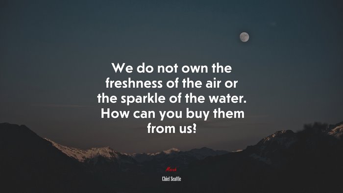 We do not own the freshness of the air or the sparkle of the water. How can you buy them from us? | Chief Seattle quote