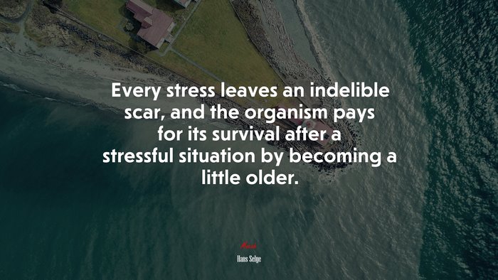 Every stress leaves an indelible scar, and the organism pays for its survival after a stressful situation by becoming a little older. | Hans Selye quote