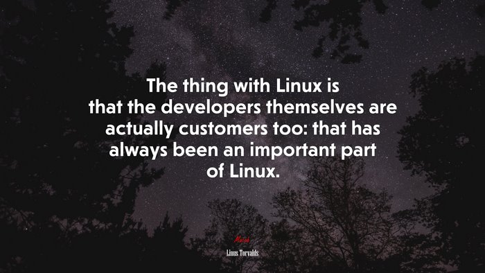 The thing with Linux is that the developers themselves are actually customers too: that has always been an important part of Linux. | Linus Torvalds quote
