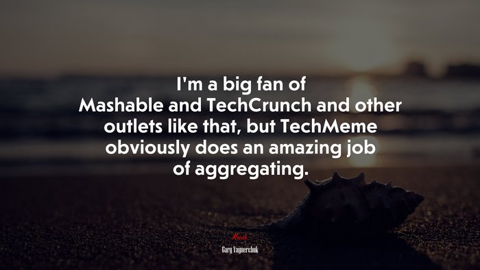 I’m a big fan of Mashable and TechCrunch and other outlets like that, but TechMeme obviously does an amazing job of aggregating. | Gary Vaynerchuk quote