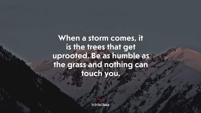 When a storm comes, it is the trees that get uprooted. Be as humble as the grass and nothing can touch you. | Sri Sri Ravi Shankar quote