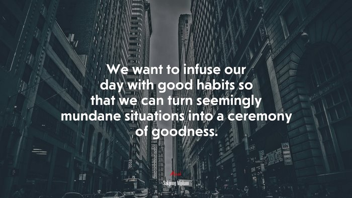 We want to infuse our day with good habits so that we can turn seemingly mundane situations into a ceremony of goodness. | Sakyong Mipham quote