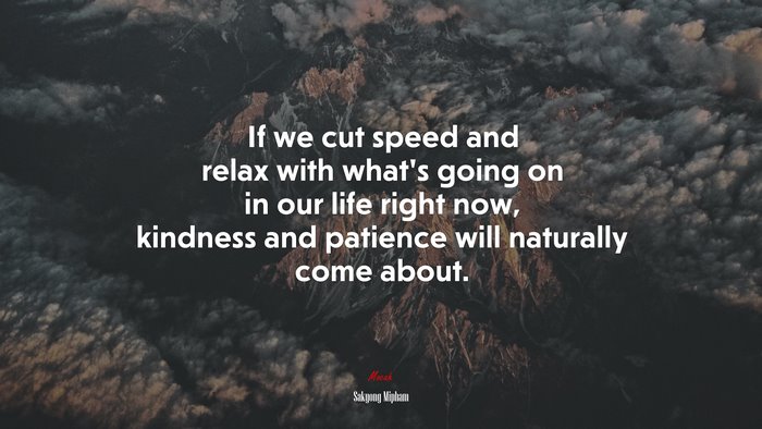 If we cut speed and relax with what’s going on in our life right now, kindness and patience will naturally come about. | Sakyong Mipham quote