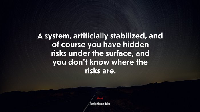 A system, artificially stabilized, and of course you have hidden risks under the surface, and you don’t know where the risks are. | Nassim Nicholas Taleb quote