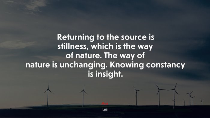 Returning to the source is stillness, which is the way of nature. The way of nature is unchanging. Knowing constancy is insight. | Laozi quote