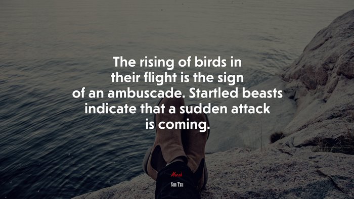The rising of birds in their flight is the sign of an ambuscade. Startled beasts indicate that a sudden attack is coming. | Sun Tzu quote