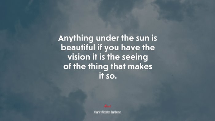 Anything under the sun is beautiful if you have the vision it is the seeing of the thing that makes it so. | Charles Webster Hawthorne quote