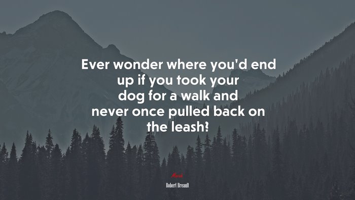 Ever wonder where you’d end up if you took your dog for a walk and never once pulled back on the leash? | Robert Breault quote