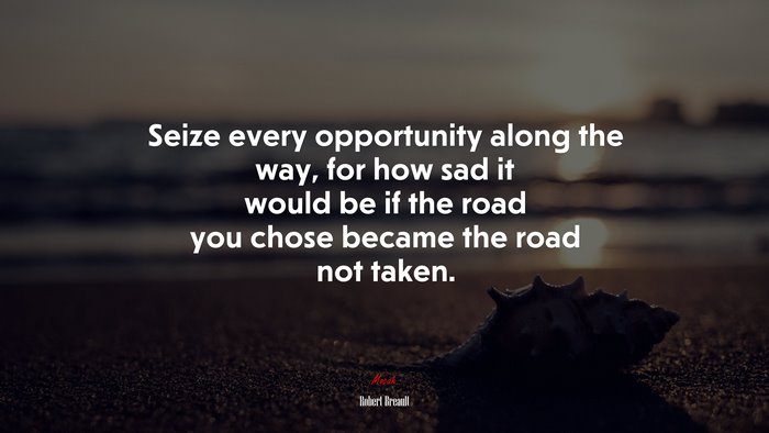 Seize every opportunity along the way, for how sad it would be if the road you chose became the road not taken. | Robert Breault quote