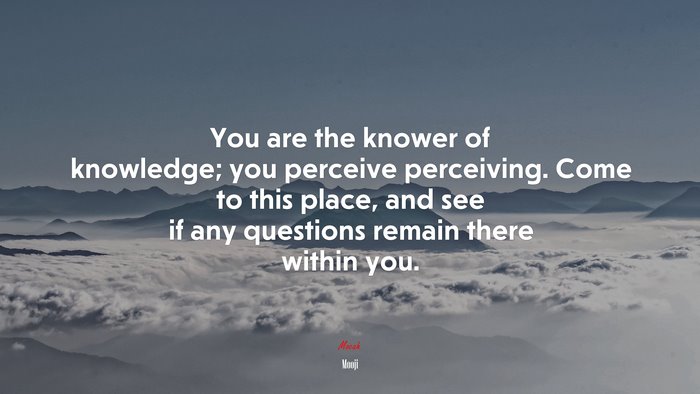 You are the knower of knowledge; you perceive perceiving. Come to this place, and see if any questions remain there within you. | Mooji quote
