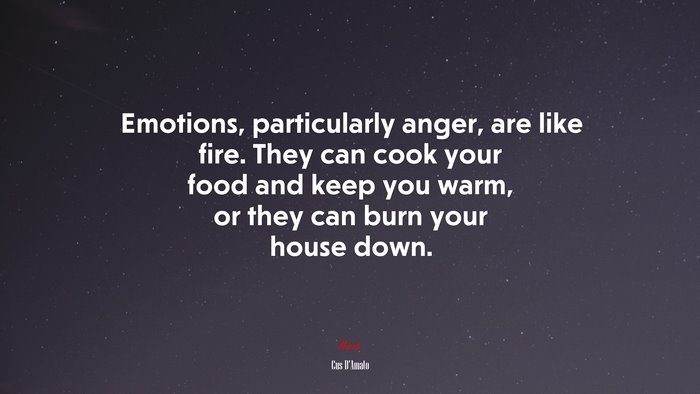 Emotions, particularly anger, are like fire. They can cook your food and keep you warm, or they can burn your house down. | Cus DAmato quote