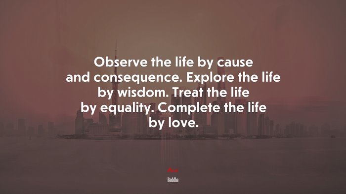 Observe the life by cause and consequence. Explore the life by wisdom. Treat the life by equality. Complete the life by love. | Buddha quote