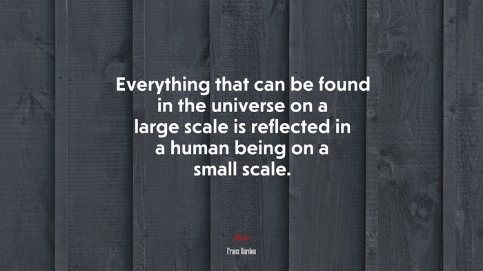 Everything that can be found in the universe on a large scale is reflected in a human being on a small scale. | Franz Bardon quote