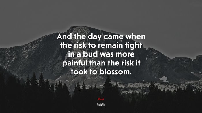 And the day came when the risk to remain tight in a bud was more painful than the risk it took to blossom. | Anaïs Nin quote