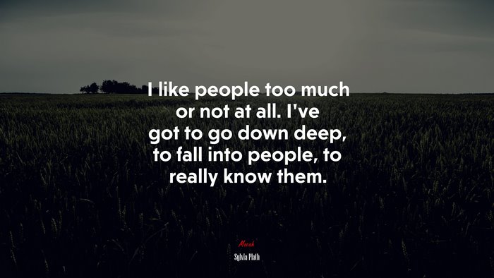 I like people too much or not at all. I’ve got to go down deep, to fall into people, to really know them. | Sylvia Plath quote