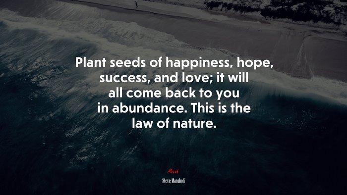 Plant seeds of happiness, hope, success, and love; it will all come back to you in abundance. This is the law of nature. | Steve Maraboli quote