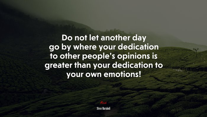 Do not let another day go by where your dedication to other people’s opinions is greater than your dedication to your own emotions! | Steve Maraboli quote