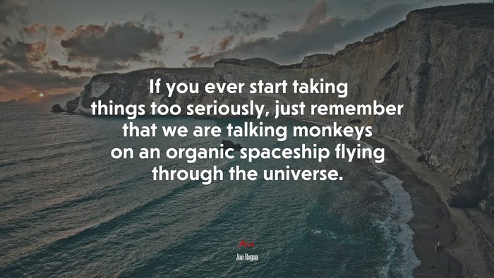 If you ever start taking things too seriously, just remember that we are talking monkeys on an organic spaceship flying through the universe. | Joe Rogan quote