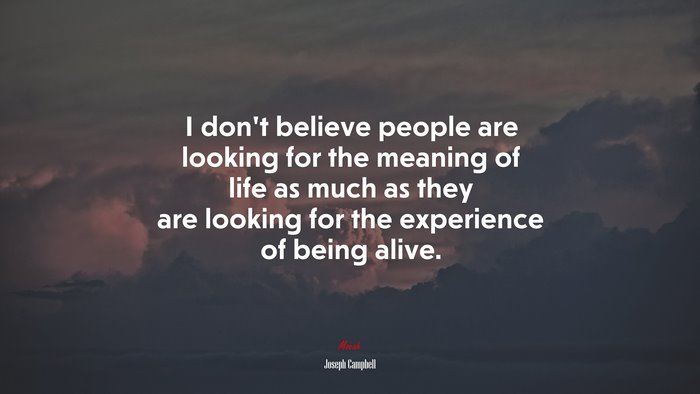 I don’t believe people are looking for the meaning of life as much as they are looking for the experience of being alive. | Joseph Campbell quote