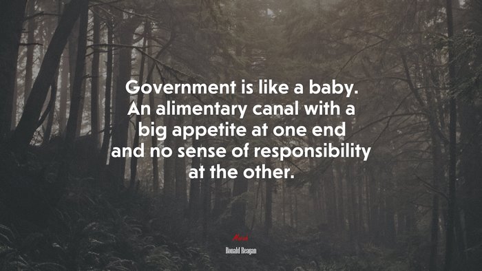 Government is like a baby. An alimentary canal with a big appetite at one end and no sense of responsibility at the other. | Ronald Reagan quote