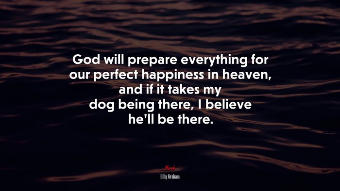 God will prepare everything for our perfect happiness in heaven, and if it takes my dog being there, I believe he’ll be there. | Billy Graham quote