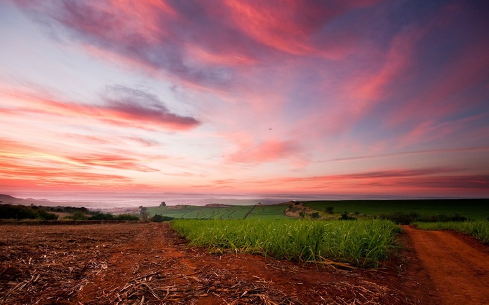 Sunrise over agricultural fields with pink clouds