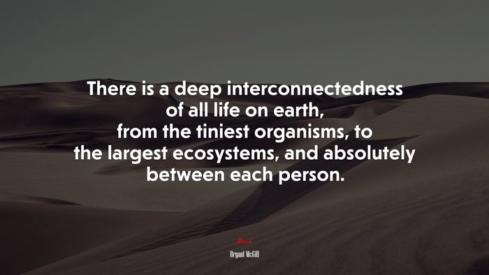 There is a deep interconnectedness of all life on earth, from the tiniest organisms, to the largest ecosystems, and absolutely between each person. | Bryant McGill quote