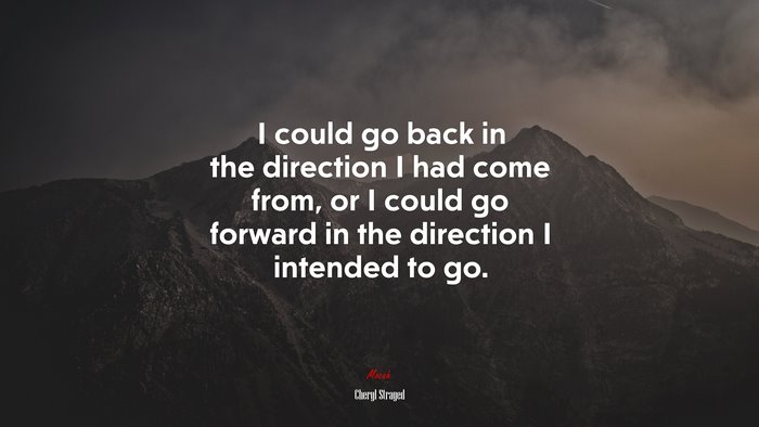 I could go back in the direction I had come from, or I could go forward in the direction I intended to go. | Cheryl Strayed quote