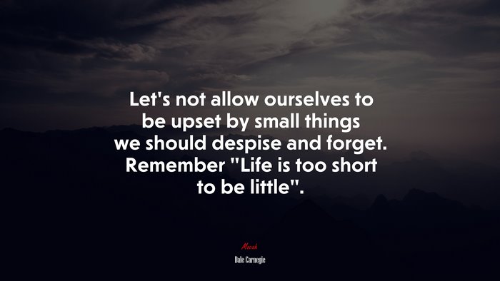 Let’s not allow ourselves to be upset by small things we should despise and forget. Remember “Life is too short to be little”. | Dale Carnegie quote