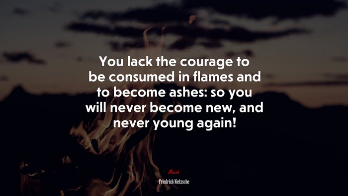 You lack the courage to be consumed in flames and to become ashes: so you will never become new, and never young again! | Friedrich Nietzsche quote