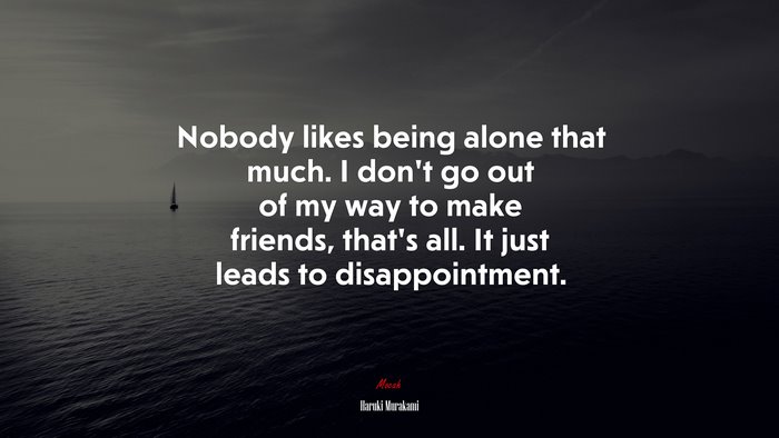Nobody likes being alone that much. I don’t go out of my way to make friends, that’s all. It just leads to disappointment. | Haruki Murakami quote