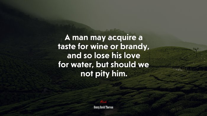 A man may acquire a taste for wine or brandy, and so lose his love for water, but should we not pity him. | Henry David Thoreau quote