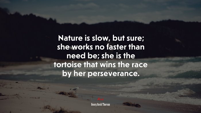 Nature is slow, but sure; she works no faster than need be; she is the tortoise that wins the race by her perseverance. | Henry David Thoreau quote