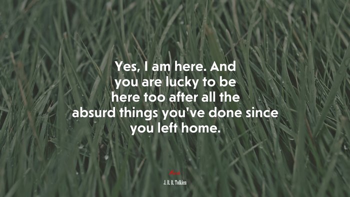 Yes, I am here. And you are lucky to be here too after all the absurd things you’ve done since you left home. | J. R. R. Tolkien quote