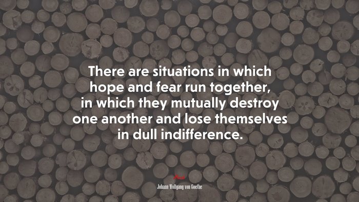 There are situations in which hope and fear run together, in which they mutually destroy one another and lose themselves in dull indifference. | Johann Wolfgang von Goethe quote
