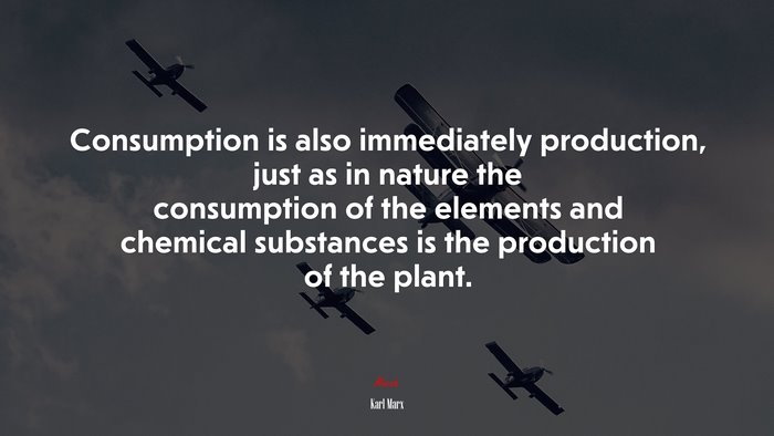 Consumption is also immediately production, just as in nature the consumption of the elements and chemical substances is the production of the plant. | Karl Marx quote