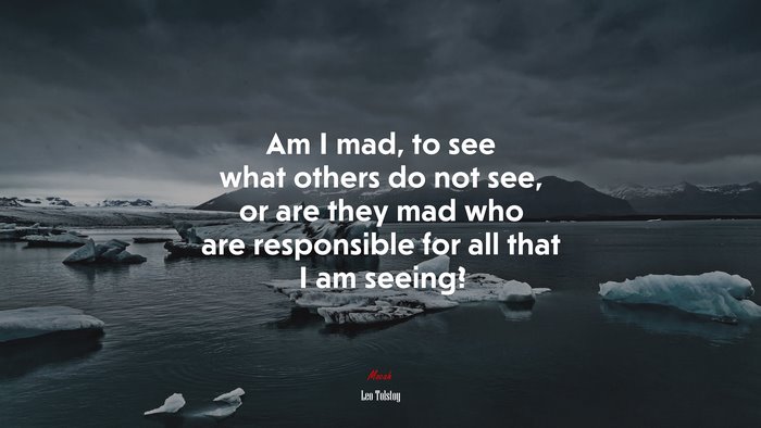 Am I mad, to see what others do not see, or are they mad who are responsible for all that I am seeing? | Leo Tolstoy quote