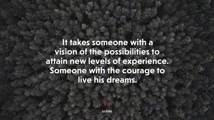 It takes someone with a vision of the possibilities to attain new levels of experience. Someone with the courage to live his dreams. | Les Brown quote