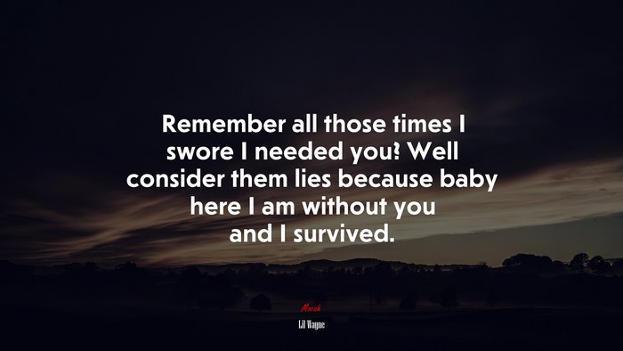 Remember all those times I swore I needed you? Well consider them lies because baby here I am without you and I survived. | Lil Wayne quote
