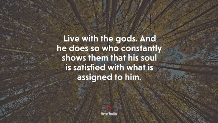 Live with the gods. And he does so who constantly shows them that his soul is satisfied with what is assigned to him. | Marcus Aurelius quote