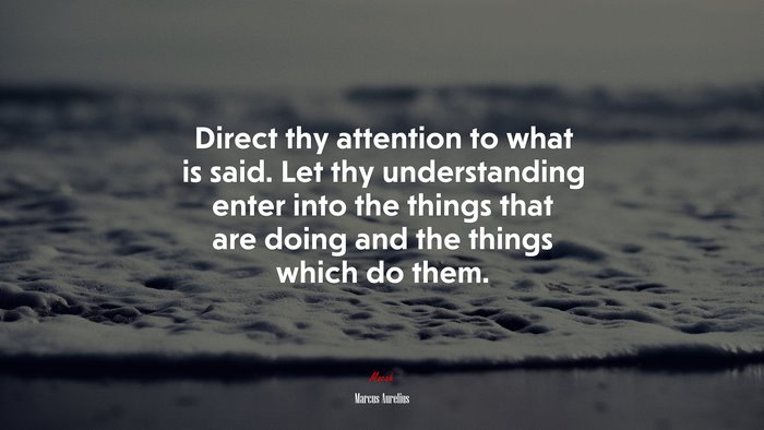 Direct thy attention to what is said. Let thy understanding enter into the things that are doing and the things which do them. | Marcus Aurelius quote