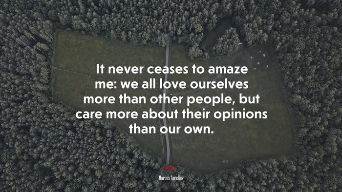It never ceases to amaze me: we all love ourselves more than other people, but care more about their opinions than our own. | Marcus Aurelius quote