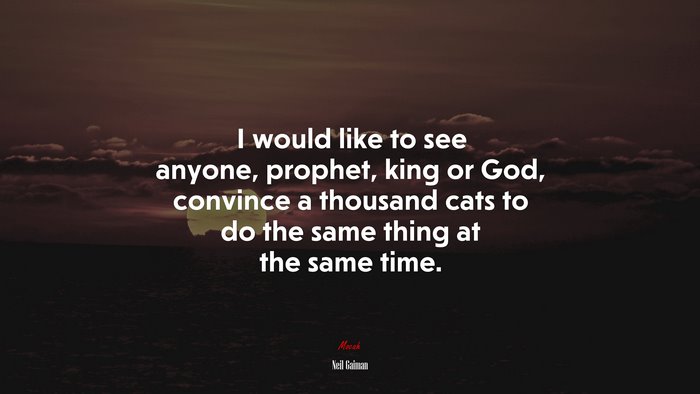 I would like to see anyone, prophet, king or God, convince a thousand cats to do the same thing at the same time. | Neil Gaiman quote