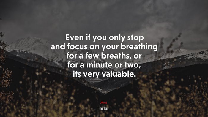 Even if you only stop and focus on your breathing for a few breaths, or for a minute or two, its very valuable. | Nhat Hanh quote
