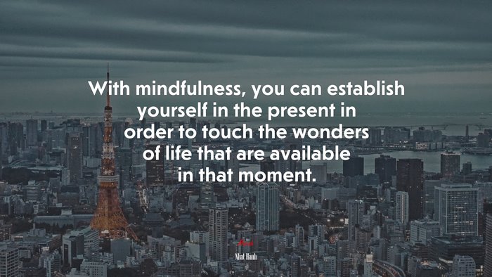 With mindfulness, you can establish yourself in the present in order to touch the wonders of life that are available in that moment. | Nhat Hanh quote