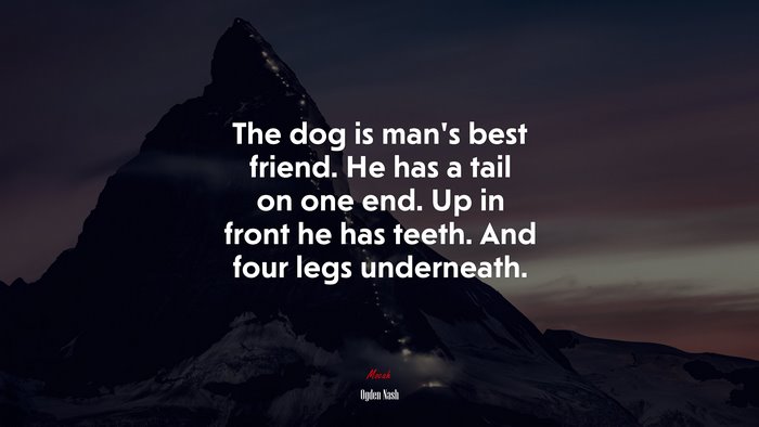 The dog is man’s best friend. He has a tail on one end. Up in front he has teeth. And four legs underneath. | Ogden Nash quote
