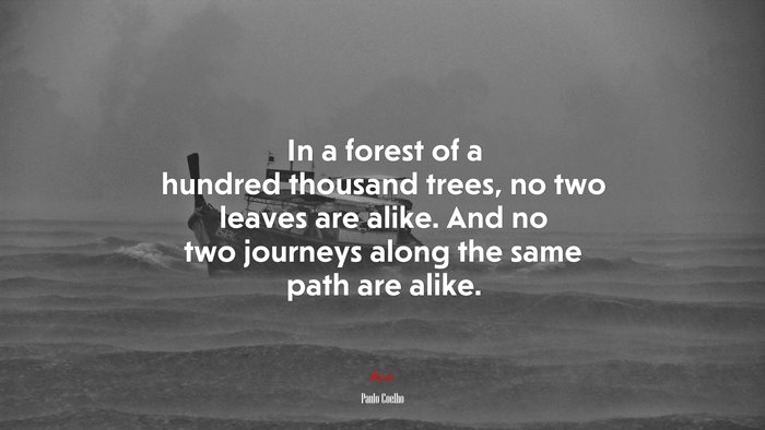 In a forest of a hundred thousand trees, no two leaves are alike. And no two journeys along the same path are alike. | Paulo Coelho quote