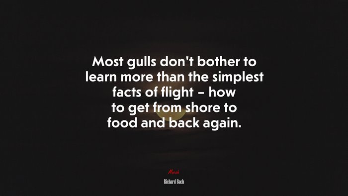 Most gulls don’t bother to learn more than the simplest facts of flight – how to get from shore to food and back again. | Richard Bach quote