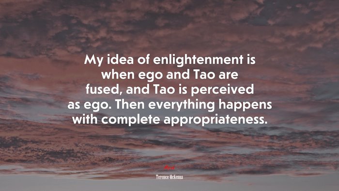 My idea of enlightenment is when ego and Tao are fused, and Tao is perceived as ego. Then everything happens with complete appropriateness. | Terence McKenna quote
